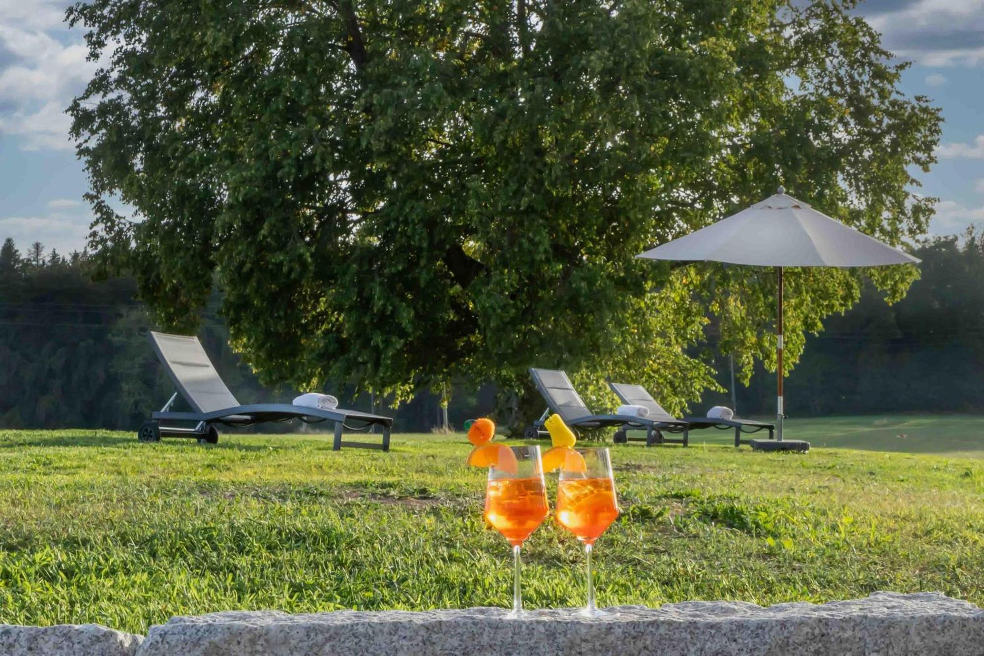 Wellnesshotel Sonnenhof & Sonnhalde Юлінген-Біркендорф Екстер'єр фото